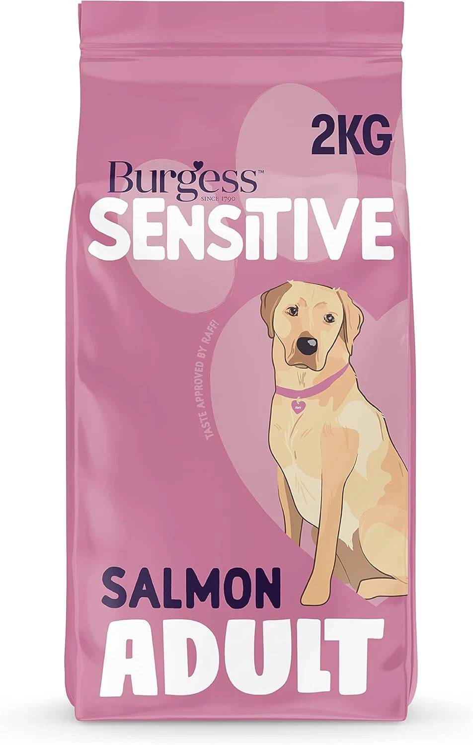 High Fiber Salmon Dry Dog Food - 2kg for Adult Dogs with Sensitive Stomachs