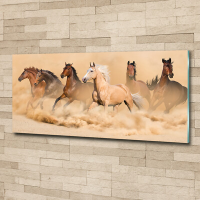 Tableau Verre Trempé Tulup 125x50 Cm - Cheval Arabe Gris, Moderne, Décoration Murale