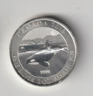2019 Orca Whale 2 OZ 9999 SILVER ROUND $10 DOLLAR CANADA COIN RARE Piedfort