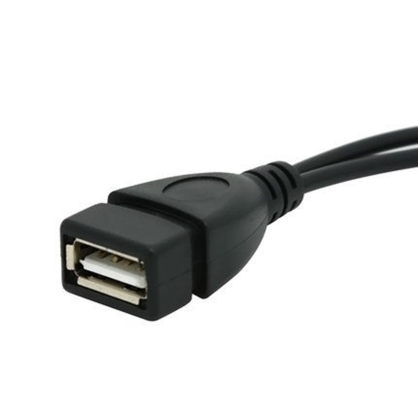 AuviPal 2-in-1 Micro-USB auf USB-Adapter (OTG-Kabel + Stromkabel) für AuviPal 2-in-1 Micro-USB auf USB-Adapter (OTG-Kabel + Stromkabel) für