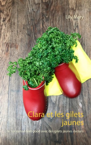 Lily Mary | Clara Et Les Gilets Jaunes | Taschenbuch | FranzöSisch (2020)-image