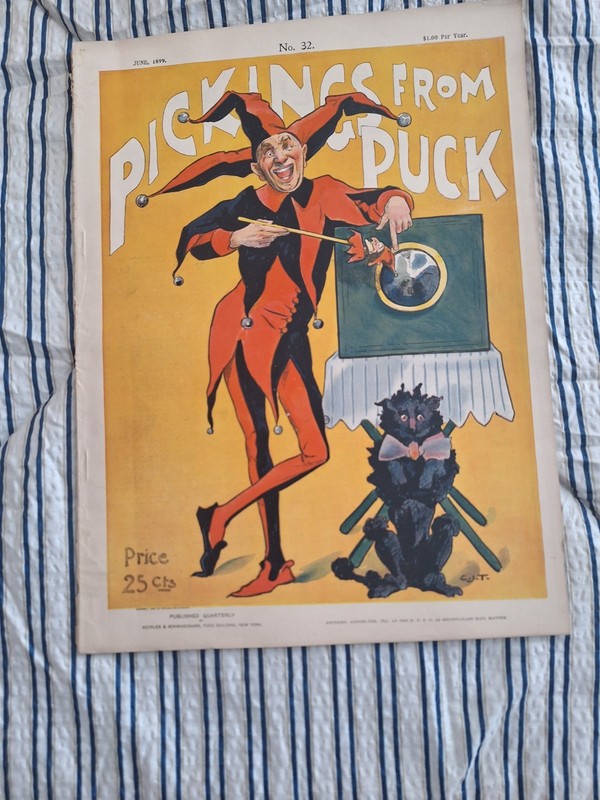 Vintage Magazine Pickings From Puck 1899