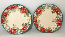 Lot Of 2 Vintage Floral 10.5” Dinner Plates Pioneer Woman