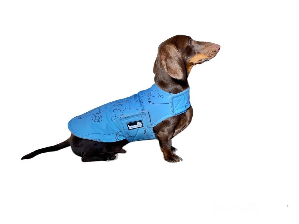 dog coats winter waterproof - Dachshund - Image 2 of 4