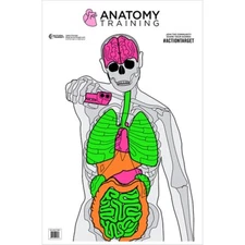 Action Target Anatomy Training Target 23" x 35" Paper 100 Per Box GS-ANATOMY-100