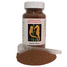 Premium Grade Brine Shrimp Artemia Eggs 90 Hatch Out Rate 1.75 oz Bottle