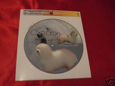 1 autocollant - motif chien  COTON DE TULEAR