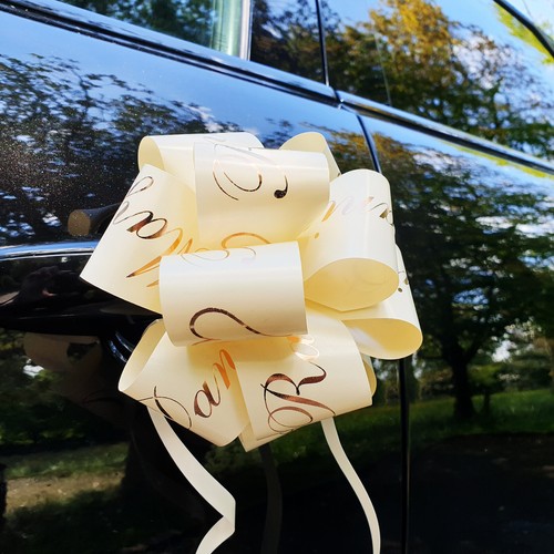 100 Fiocchi Bianchi Per Auto Matrimonio - Nastro Raso, Per