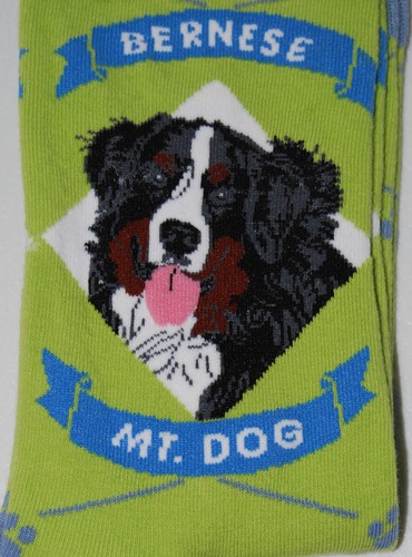 Neu mit Etikett Socke Atomica grün Unisex Erwachsene Berner Sennenhund Wadensocken große Größen - Bild 2 von 6