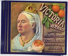25 Victoria Brand, Riverside, California Orange Crate Labels Wholesale