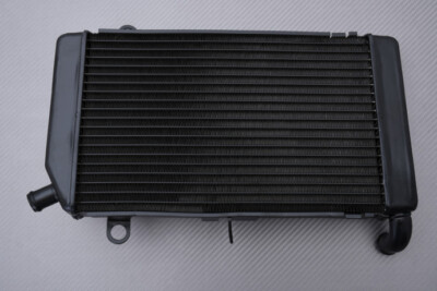 Wasserkühler Typ Original für Honda Silverwing FJS 600 PF01 2001-2015