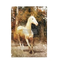 White Majesty - A1 Decoupage Mulberry Paper Redesign With Prima Horse Image Art