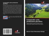 Marius-TréSor Mimolokwa Madigo | Compendio Sulla Protezione Giuridica | Buch