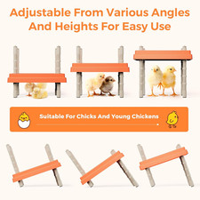 Chick Brooder Heating Plate anti Stand Cone 10 X 10 Brooder Heater Chicks