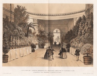 Gand Ghent exhibition Ausstellung Botanik Botany Lemaire Stroobant Litho