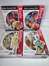 NEW Learning Resources Human Anatomy Models B...