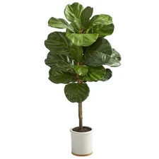 Nearly Natural 3.5-ft Fiddle Leaf Artificial Tree in White Ceramic Planter