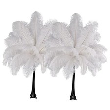 Natural Ostrich Feathers Bulk 40 Pack, 10-12 in, 8-10 in 20 8-12In 40pcs White