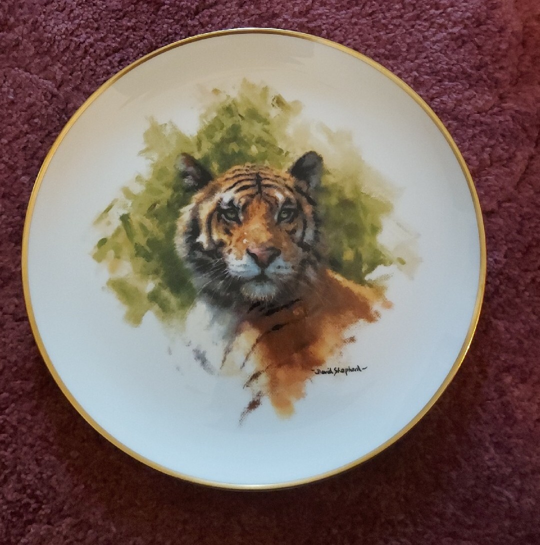 WEDGWOOD DAVID SHEPHERD TIGER PLATE COMISSIONED BY SPINK | eBay