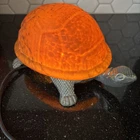 VTG Turtle Lamp with Amber Tiffany Style Glass, Brass Base Tortoise Night Light