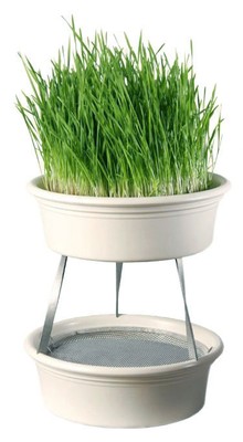 Stacking Aid for Eschenfelder Wheatgrass Sieve Bowl Wheatgrass Sprouter 