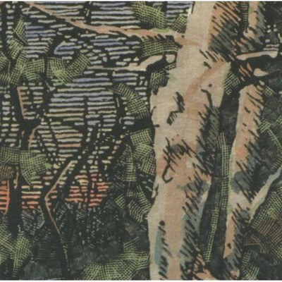 Anomoanon - Asleep Many Years in the Wood [Used Very Good CD]