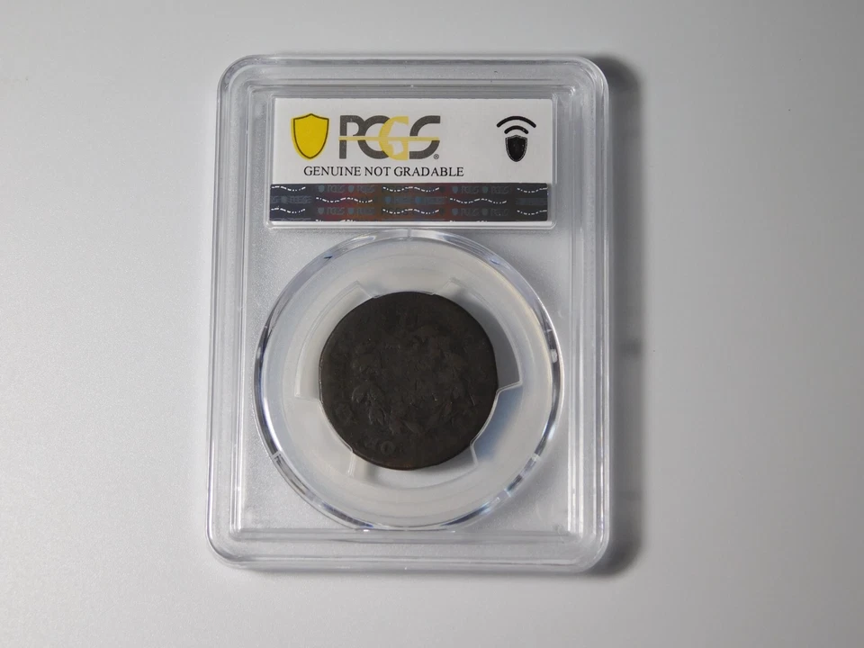 OLD US COINS PCGS GOLD SHIELD 1802 DRAPED BUST  LARGE CENT P/FR DETAIL - Image 4 of 4