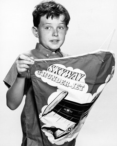 beaver leave jerry mathers tv