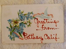 Vintage California Postcard Greetings from Cathay CA Embossed Applied Lettering 