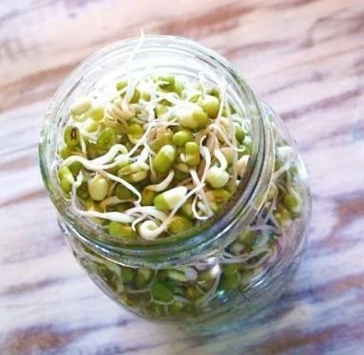 16 oz Mung Bean - Image 3 of 4