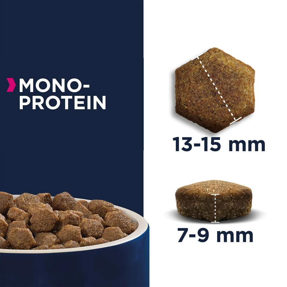 Daily Care Mono-Protein Hundefutter - Trockenfutter mit nur Lachs als tierisc... - Bild 2 von 4