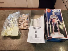 Vintage 1994 Skilcraft #74622 THE VISIBLE MAN Model Appears Unused But AS IS