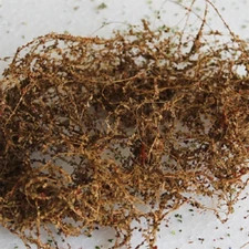 MP Scenery Products 70026 - Climbing Vines Dried of 10g