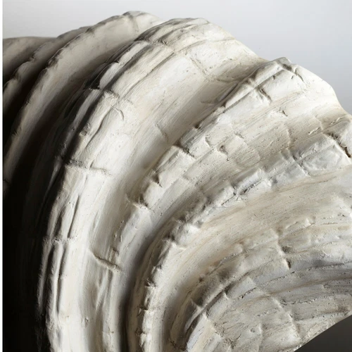 Sea Shell Light Wall Sconce Shelly Coastal Nautical Beach  ~ Cyan Design 05158 - Picture 2 of 7