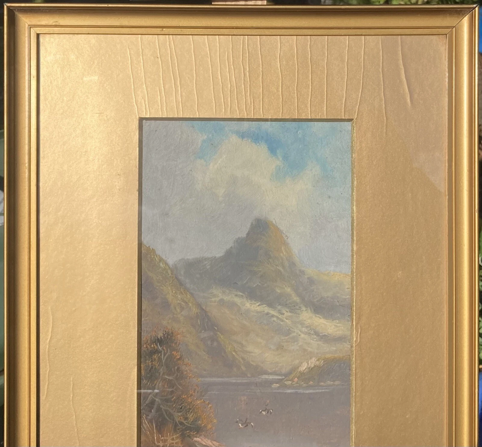 Picture 4 of 12
