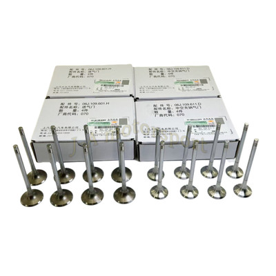 OEM 16Pcs Engine Intake Exhaust Valves Set For Audi A4 VW Golf Jetta 06J109611D