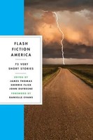 Flash Fiction America | James Thomas (U. A.) | 73 Very Short Stories | Buch