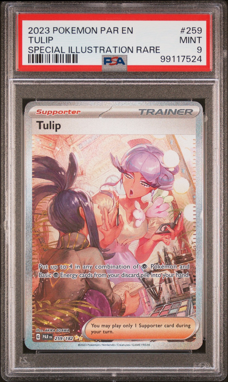 Tulip #259