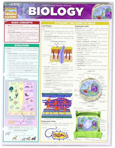 Quickstudy Reference Guide (219538) Good