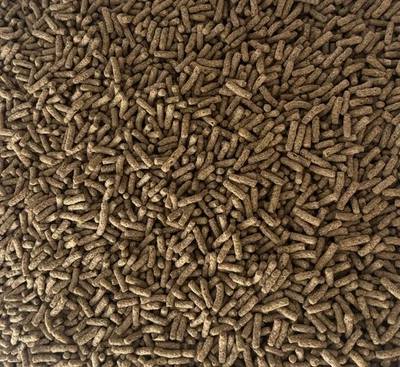 AQUA HOBBY Aquasticks Schildkröten-& Zierfischfutter Hauptfutter Sticks Proteine 0,1-10Kg