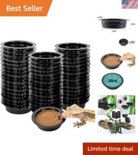 Acrylic Gecko Feeding Ledge - Magnetic Installation with 6 Feeding Cups