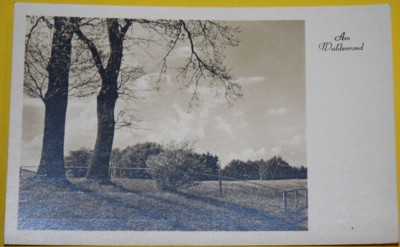 AK. Postcard. On the edge of the forest. On the edge of the forest. Unmarked (9041)