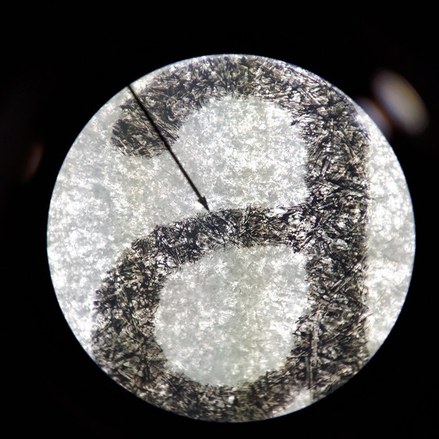 Vintage Microscope Slide Carolina Newspaper Print W.M. 291412 (079) eBay