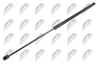 Heckklappen DäMpfer Gasfeder Kofferraum NTY AE-FT-042 FüR Lancia Delta 3 844 16V