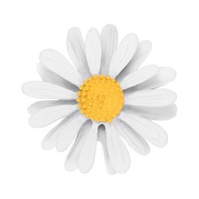 1 pezzo Spilla a forma di fiore di margherita Spilla da bavero a girasole Bianco