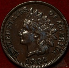  on The Hot Collector