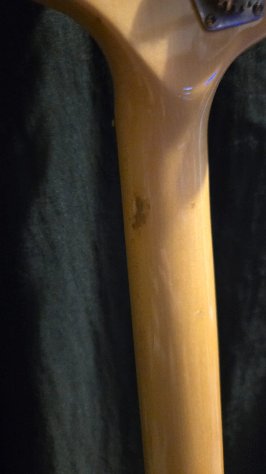 Picture 12 of 24