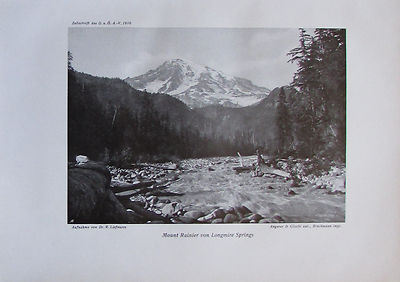 Liefmann: Mount Rainier von Longmire Springs - Originaldruck aus 1910 Alpinismus