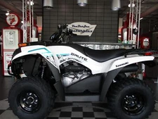 2025 Kawasaki Brute Force 300 2wd