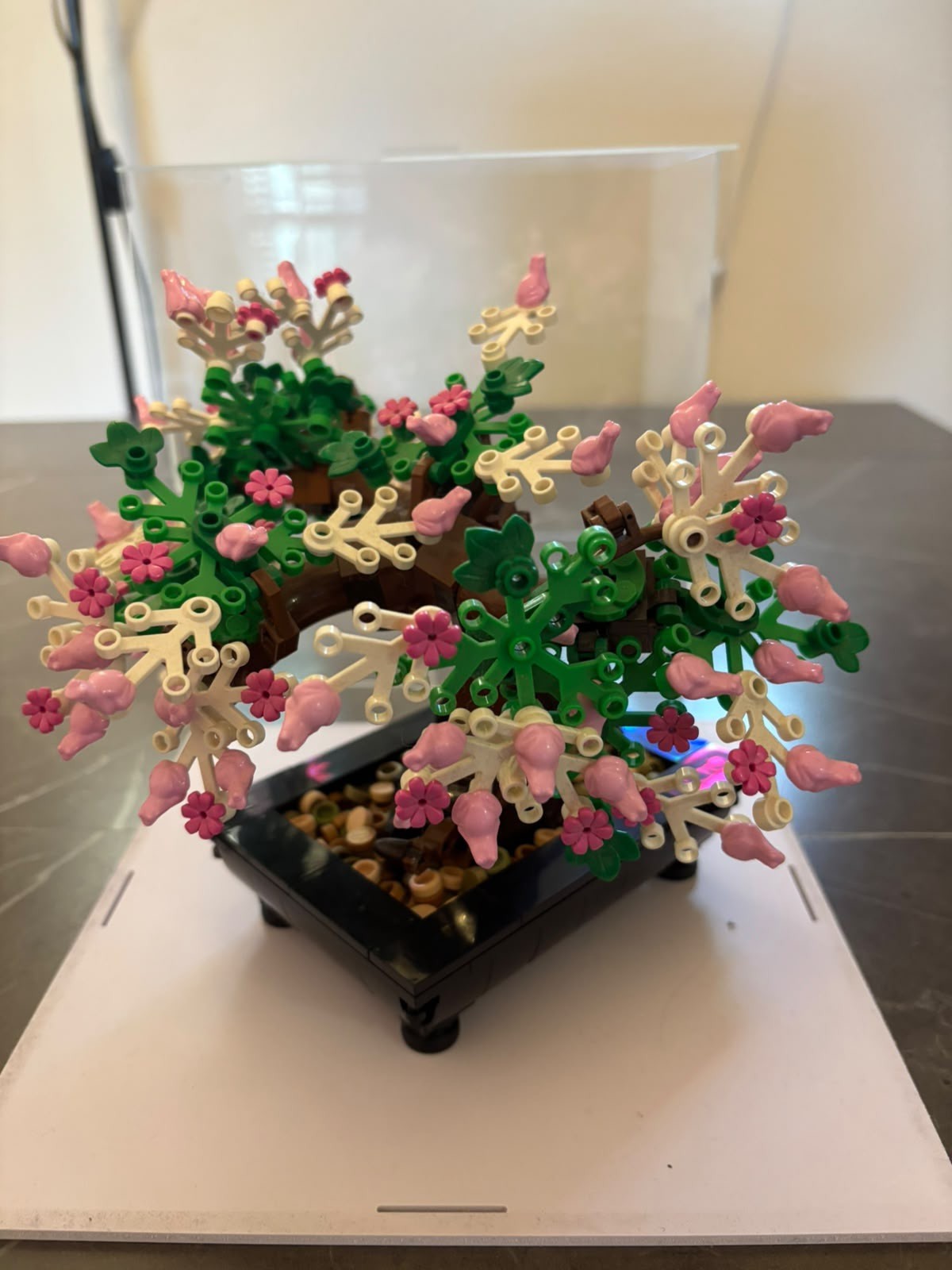 LEGO Creator Expert Bonsai 10281 – Teca Inclusa – Completo